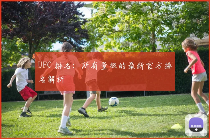 UFC 排名:所有量级的最新官方排名解析